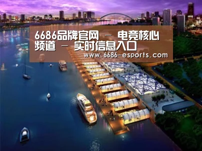案例展示八