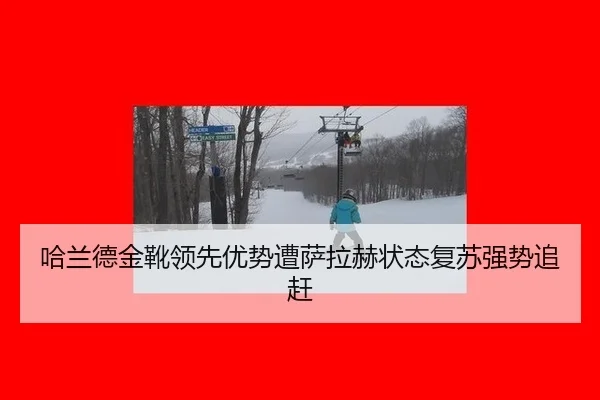 ha-lan-de-jin-xue-ling-xian-you-shi-zao-sa-la-he-zhuang-tai-fu-su-qiang-shi-zhui-gan-3-904.jpg