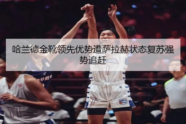 ha-lan-de-jin-xue-ling-xian-you-shi-zao-sa-la-he-zhuang-tai-fu-su-qiang-shi-zhui-gan-1-897.jpg