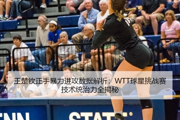 王楚钦正手暴力进攻数据解析：WTT球星挑战赛技术统治力全揭秘