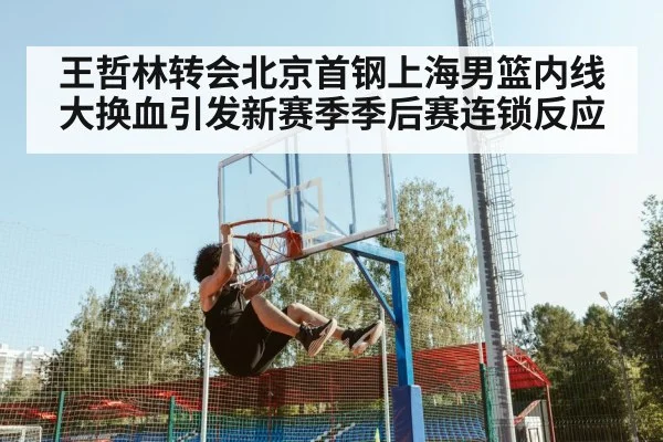 王哲林转会北京首钢上海男篮内线大换血引发新赛季季后赛连锁反应