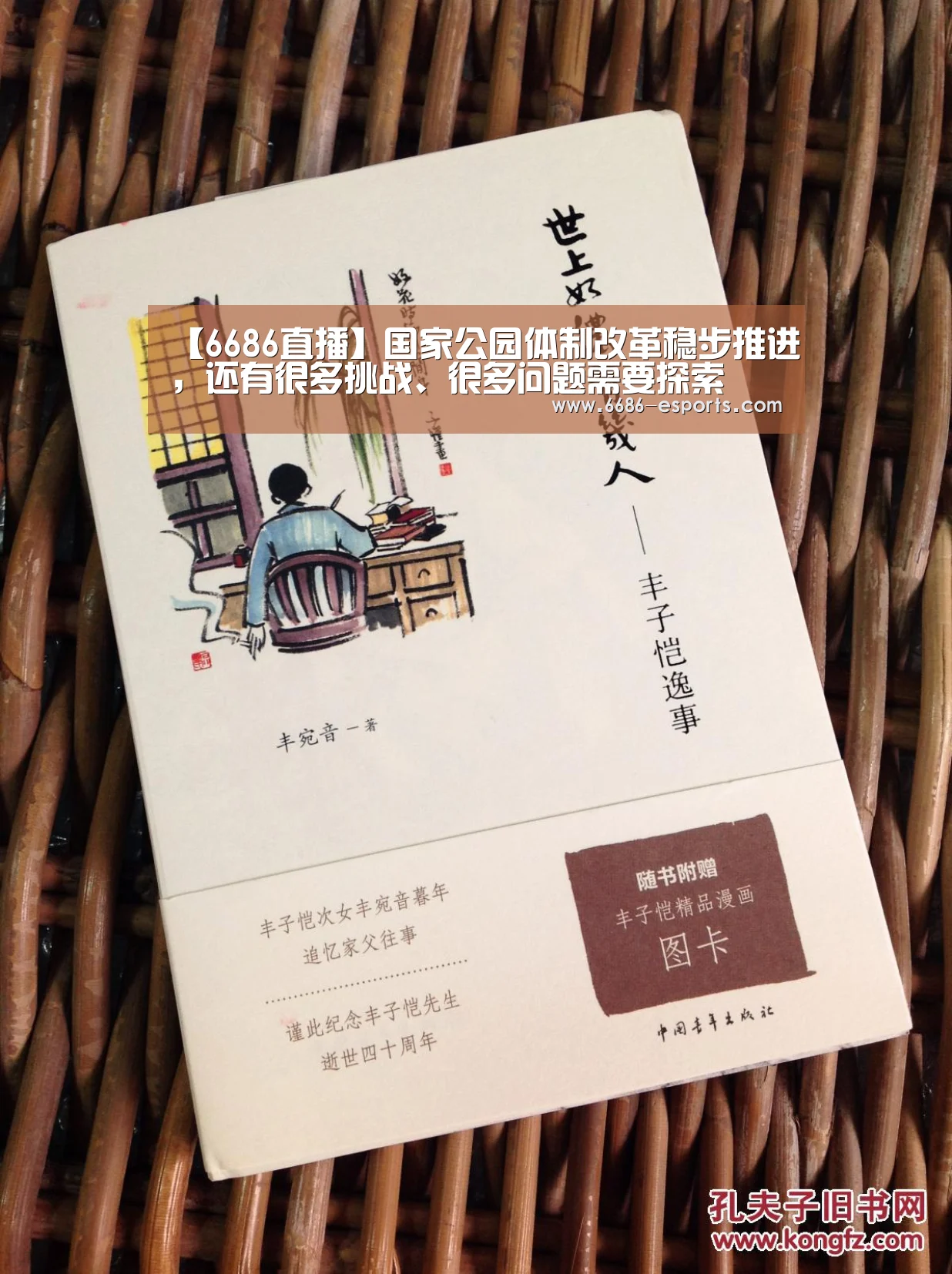 6686游戏